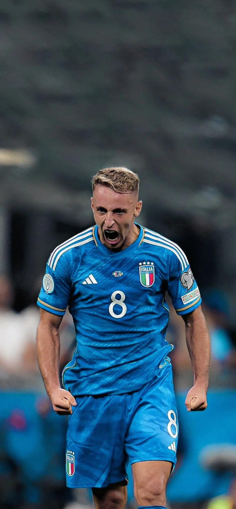 意大利职业足球赛场上的紧张气氛的简单介绍