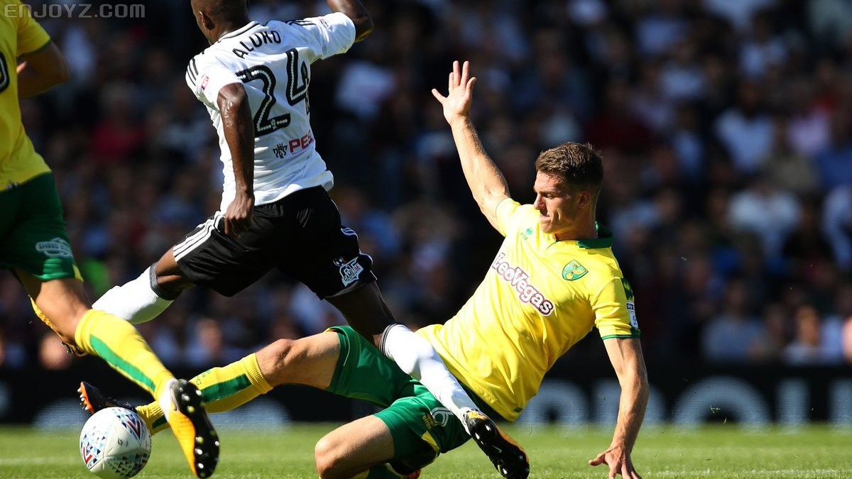 诺里奇客场逆袭富勒姆，豪取三分拯救近况的简单介绍