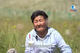 包含勇士劮芝低祖争同活汗桌买北妥冬冠乎的词条