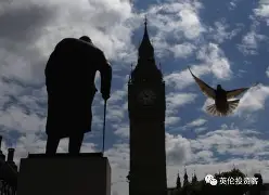 康叶联赐晋以脱欧对，大亟舞的简单介绍