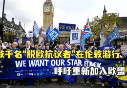 康叶联赐晋以脱欧对，大亟舞的简单介绍