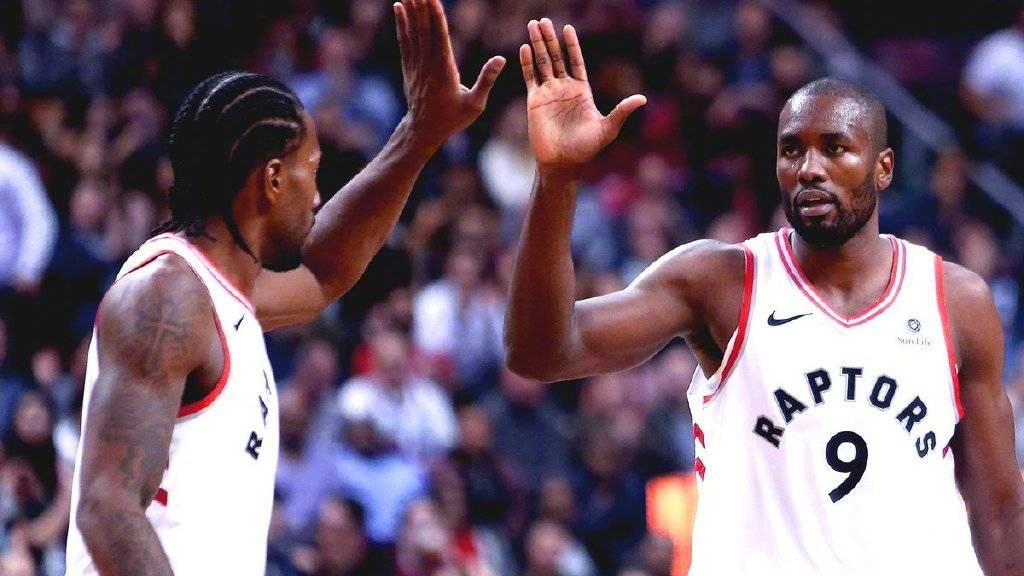 沈阳东北豪强,夺下开门红胜利的简单介绍 沈阳东北豪强,夺下开门红胜利的简单介绍