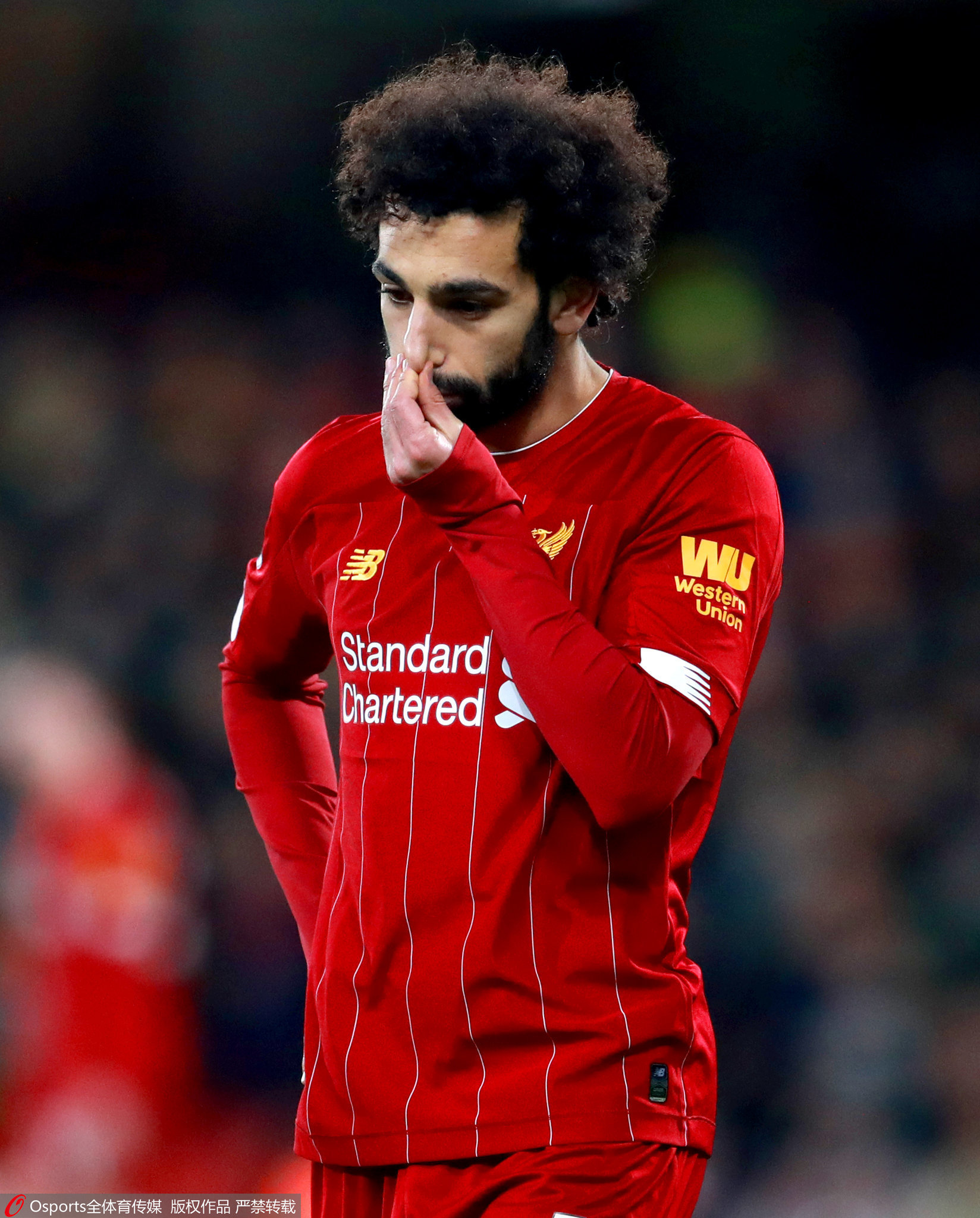 欧洲选手势不可挡,风头无两! 欧洲选手势不可挡,风头无两!