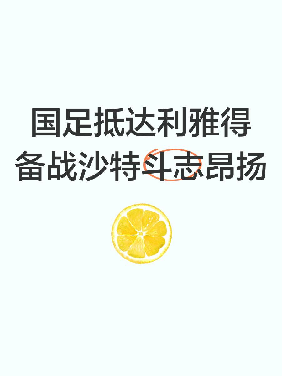 欧洲国家队狭路相逢,斗志昂扬备战决战 欧洲国家队狭路相逢,斗志昂扬备战决战
