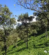 开云下载-黑山壮举出击，晋级之路坎坷