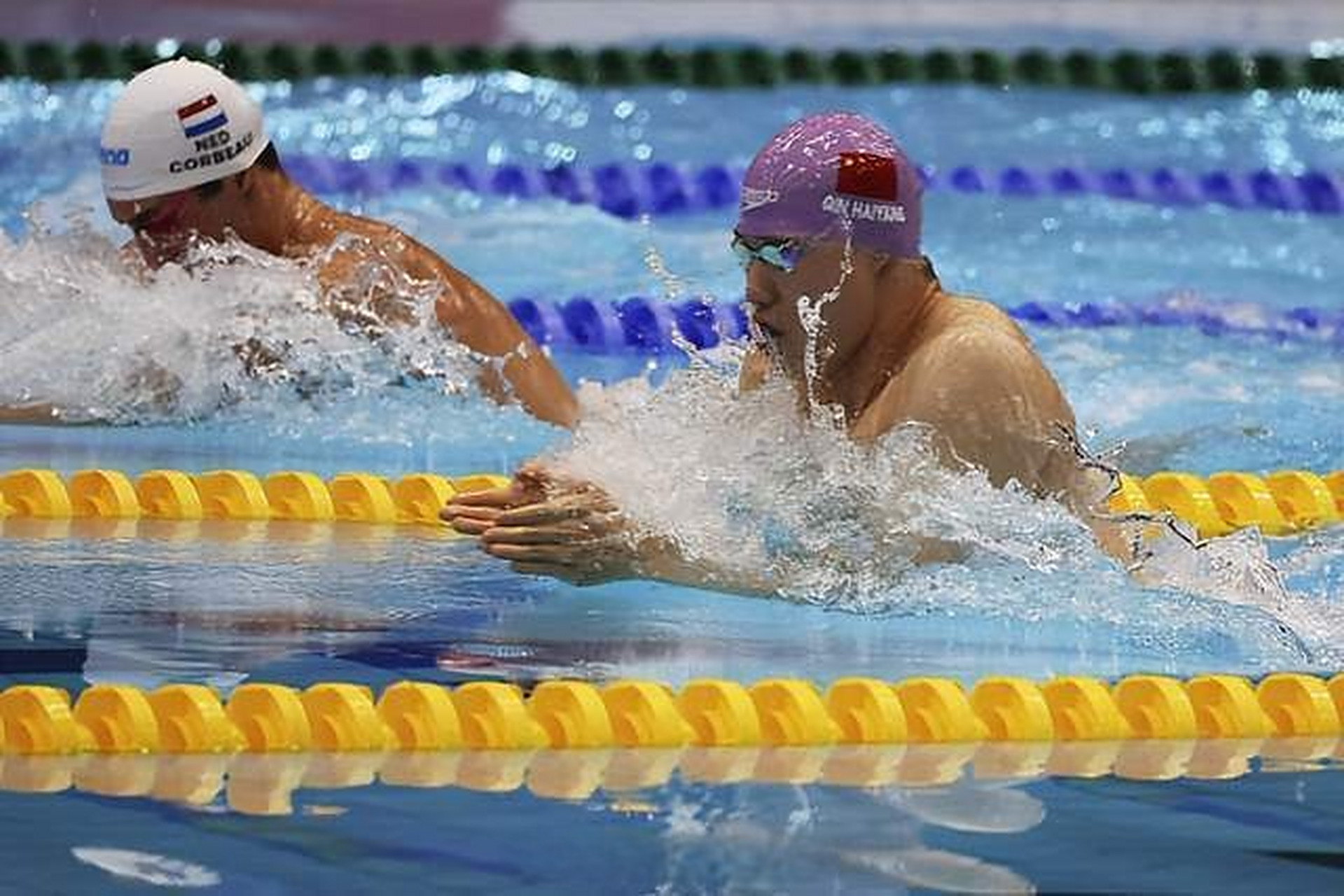 荷兰游泳决赛，两项项目包揽金银