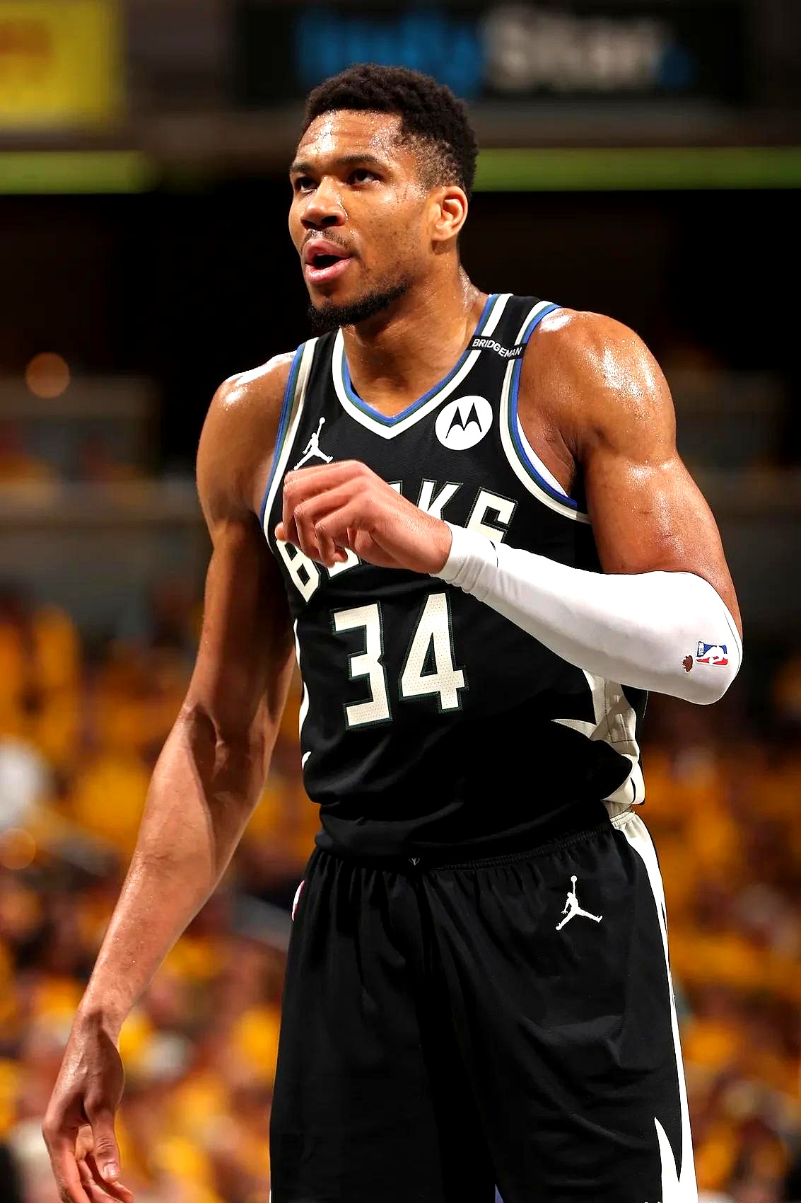 开云官网-雄鹿碾压黄蜂，字母哥32+17