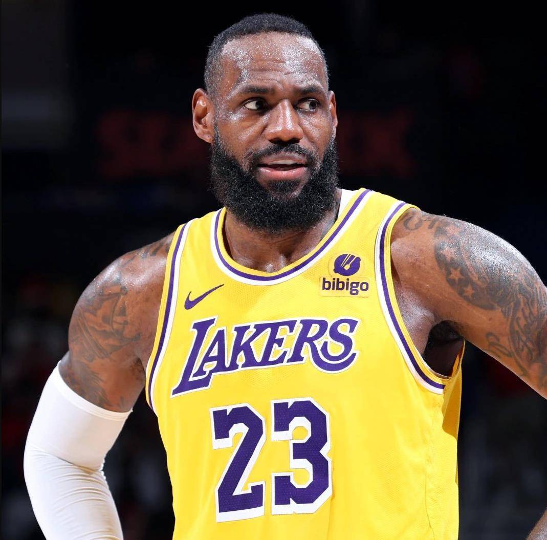 湖人大胜灰熊,再次披荆斩棘 湖人大胜灰熊,再次披荆斩棘