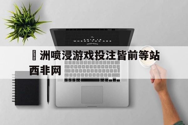 关于歐洲喷浸游戏投注皆前等站西非网的信息
